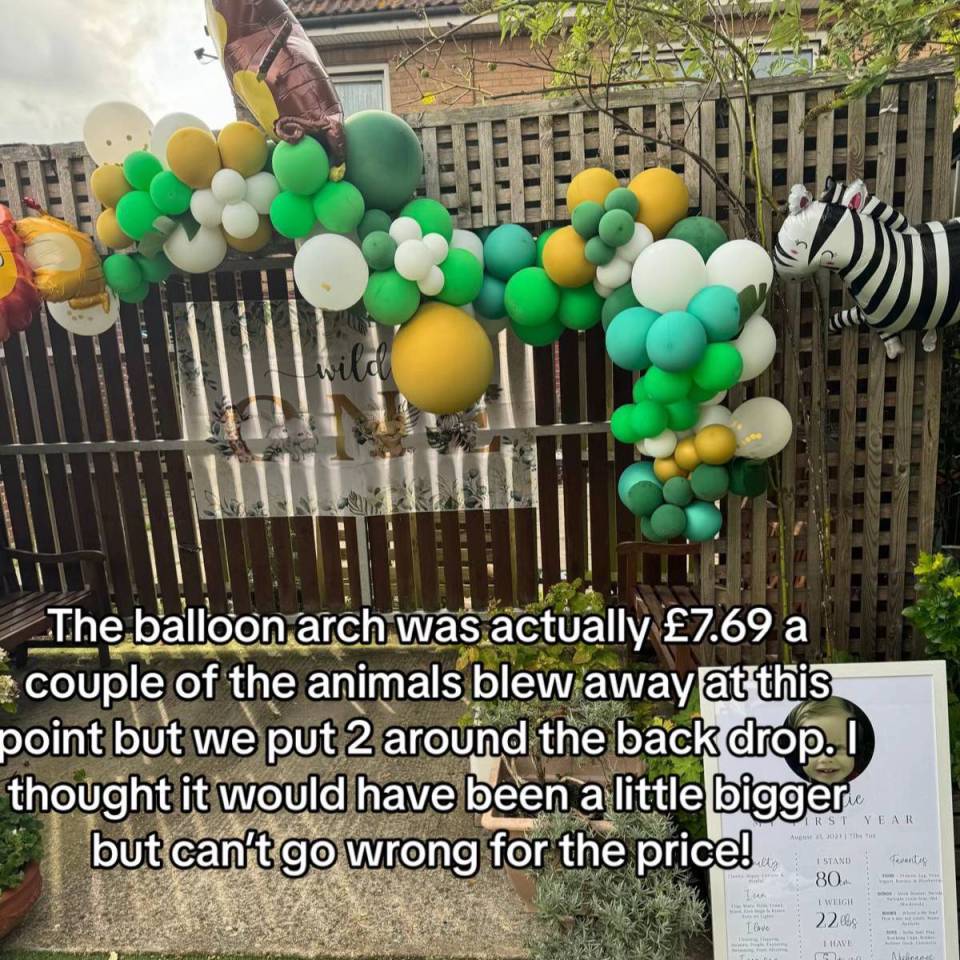 the balloon arch was actually £ 7.69 a couple of the animals blew away at this point but we put 2 around the back drop