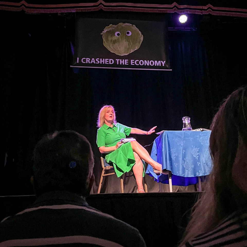 a woman in a green dress sits in front of a sign that says i crashed the economy