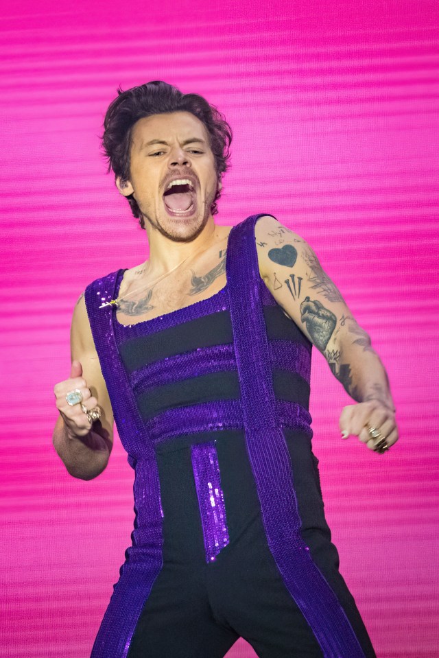 harry styles is wearing a purple and black outfit