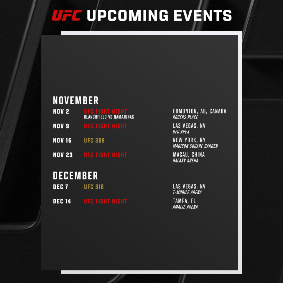 a poster for ufc upcoming events in november and december