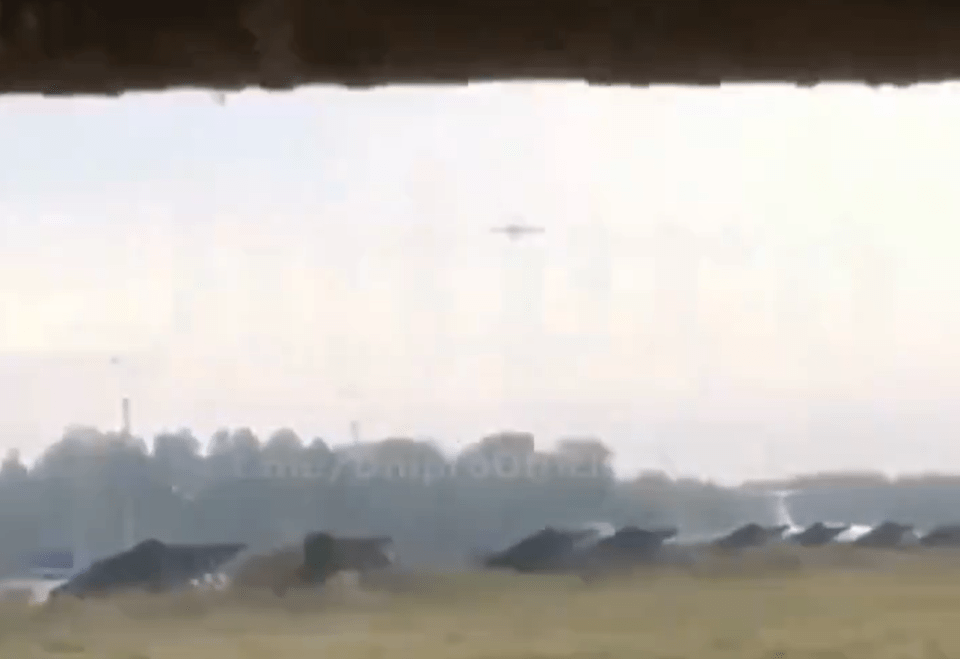 a plane is flying over a field with trees in the background .