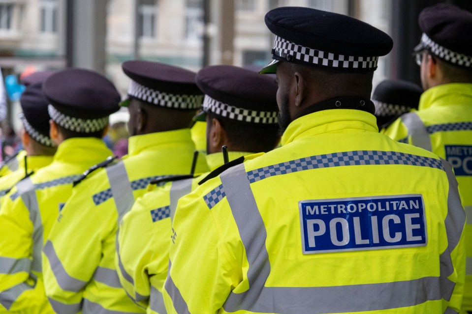 a group of metropolitan police officers standing in a line