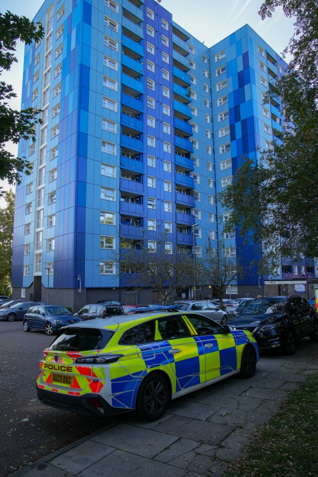 a police car is parked in front of a blue building
