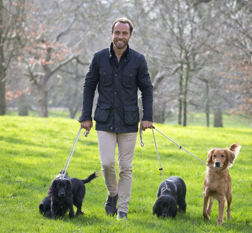 a man in a black jacket is walking three dogs