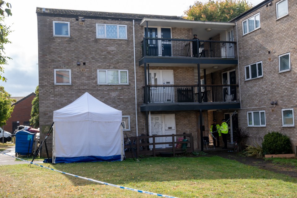 a white tent is set up in front of a brick building