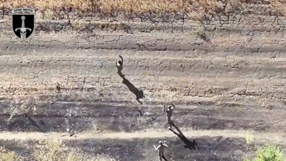 GRAPHIC: Moment the Russian army 'bombs its own soldiers seeking to surrender to Ukraine¿' near Kurakhove, Donetsk region, Ukraine.