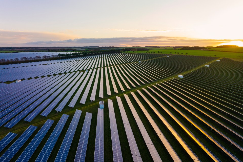 an aerial view of a field of solar panels at sunset