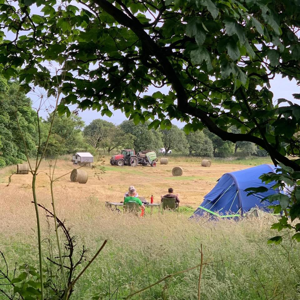 a blue tent sits in the middle of a field with a tractor in the background