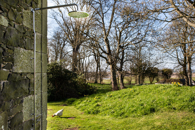 a bird is standing in the grass near a shower head