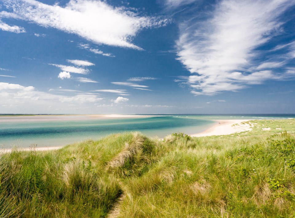 a view of the ocean from a grassy hillside