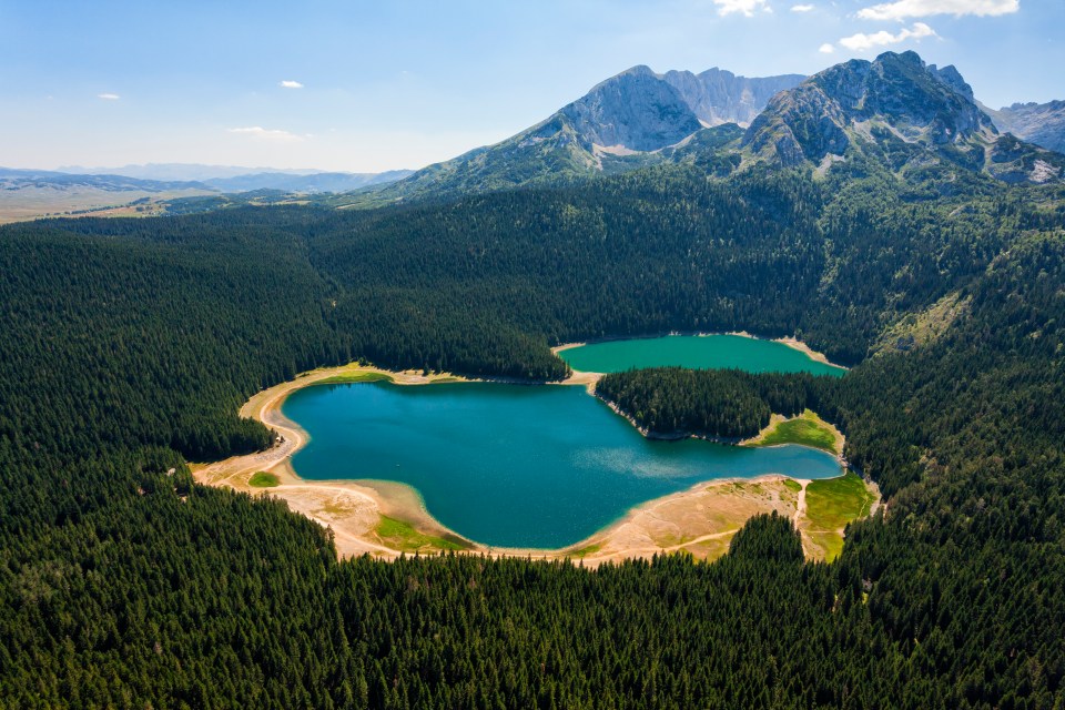 a heart shaped lake in the middle of a forest
