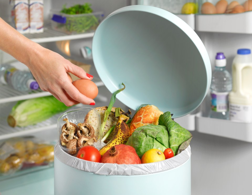 a person throws an egg into a trash can filled with fruits and vegetables