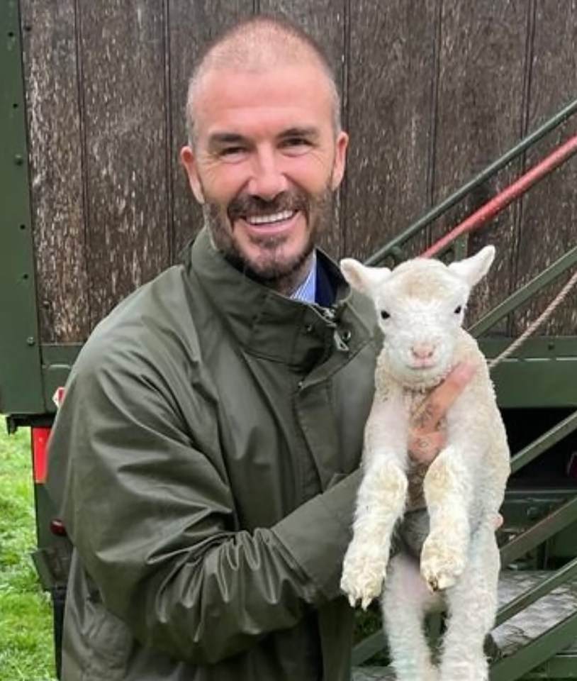 a man in a green jacket is holding a baby sheep .