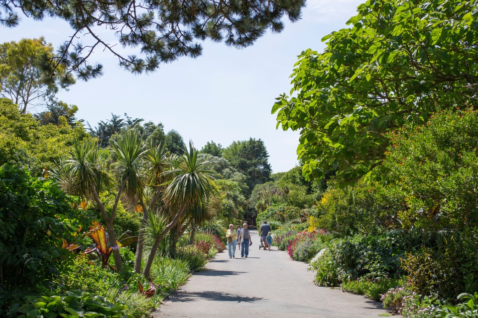 a group of people walking down a path in a garden