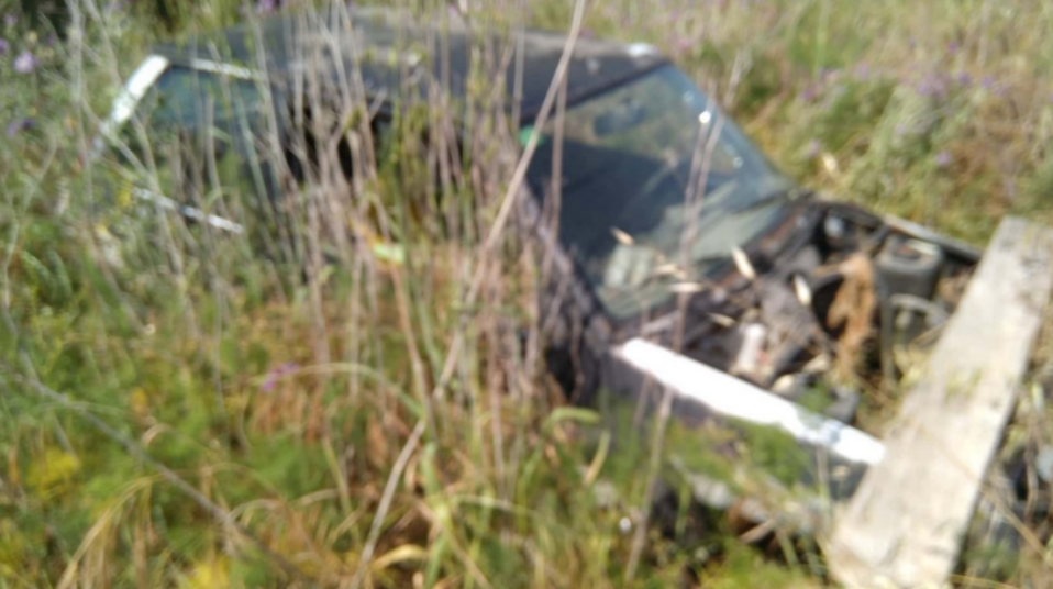 a black car is laying in a field of tall grass