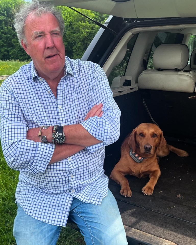 a man kneeling next to a dog in the back of a car