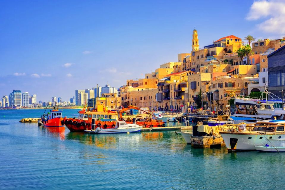 several boats are docked in a harbor with a city in the background