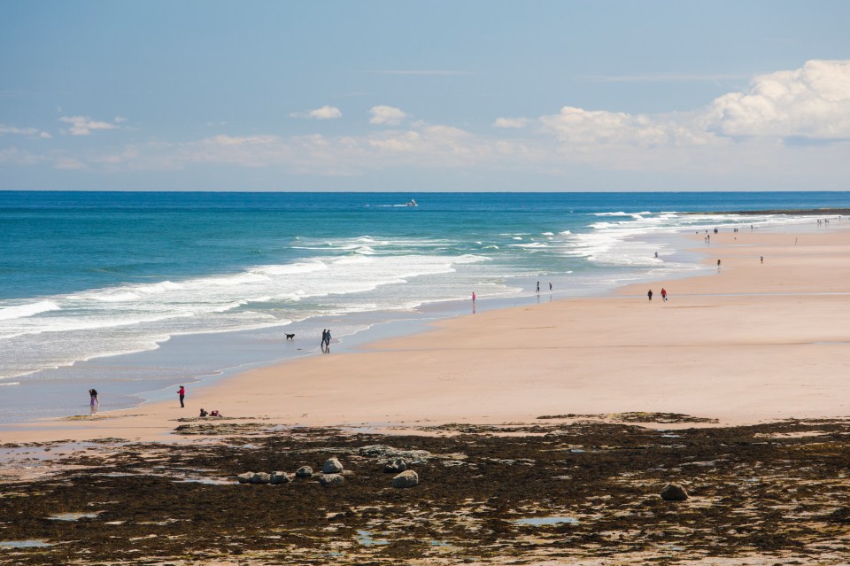 a group of people are walking on a beach near the ocean