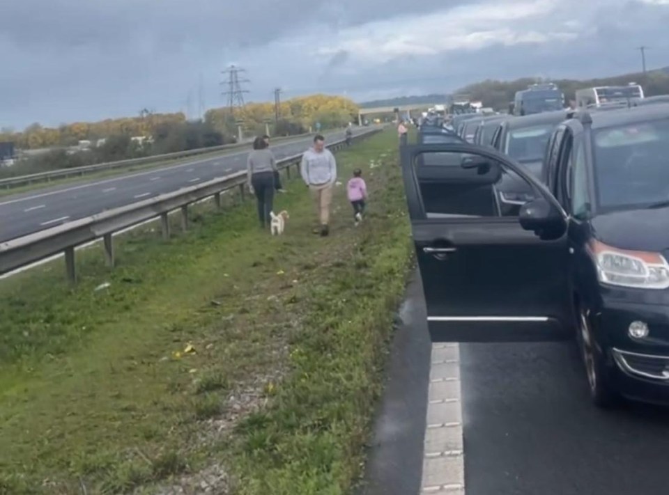 people walking a dog on the side of a highway