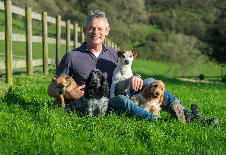 a man sits in the grass with three dogs