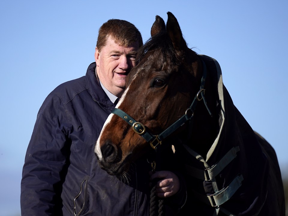 a man standing next to a brown horse with a green bridle