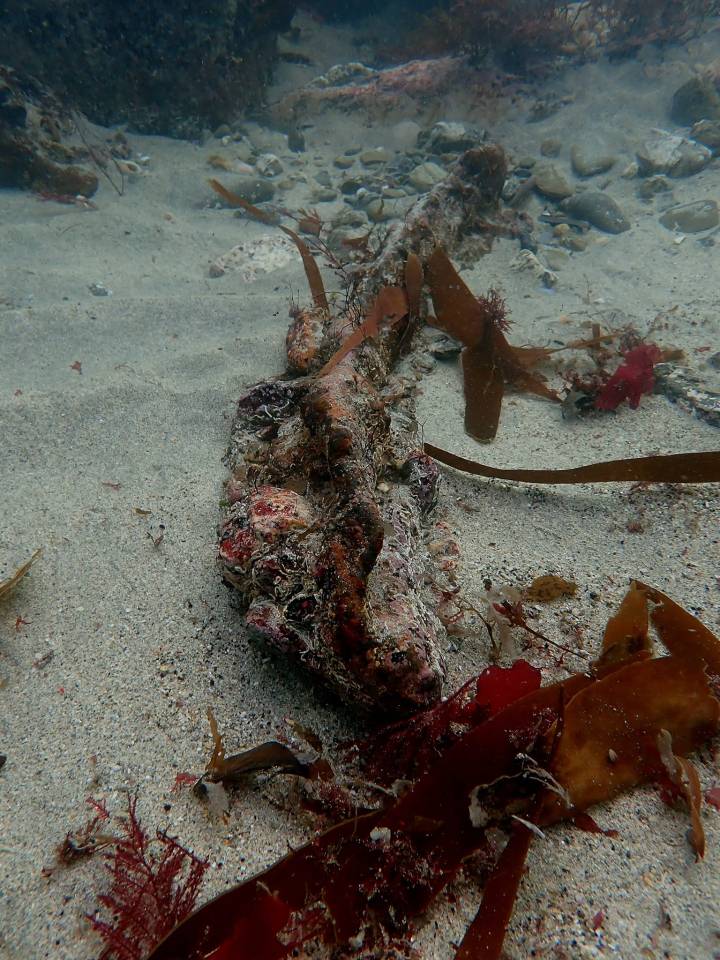 Eerie photos show the remains of the vessel over a century on
