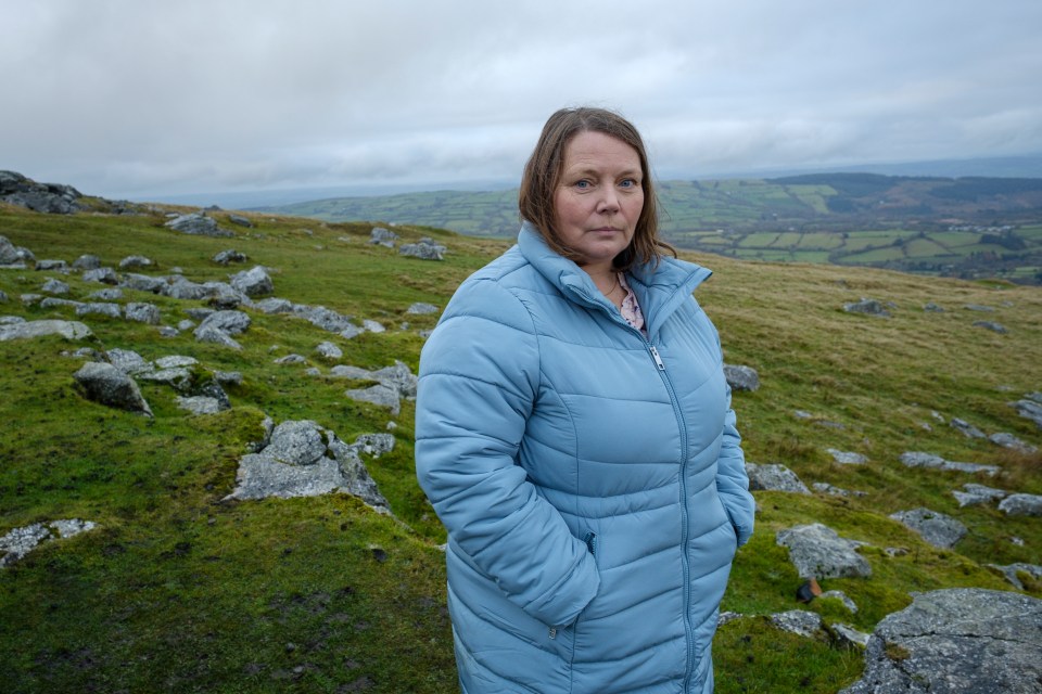 a woman in a blue jacket stands on top of a grassy hill