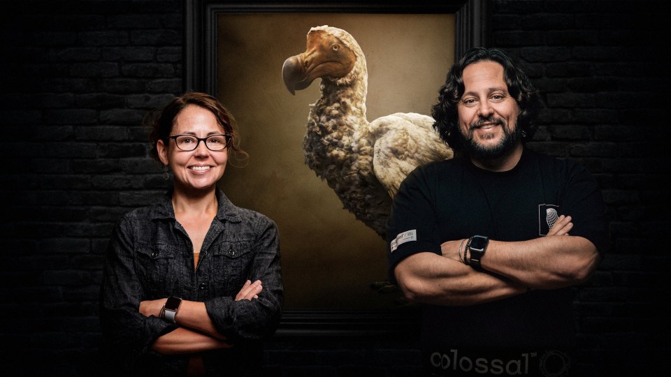 a man and a woman pose in front of a painting of a dodo bird