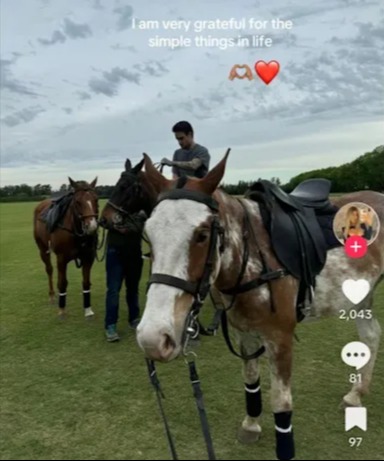 a phone screen shows a picture of three horses and the words " i am very grateful for the simple things in life "