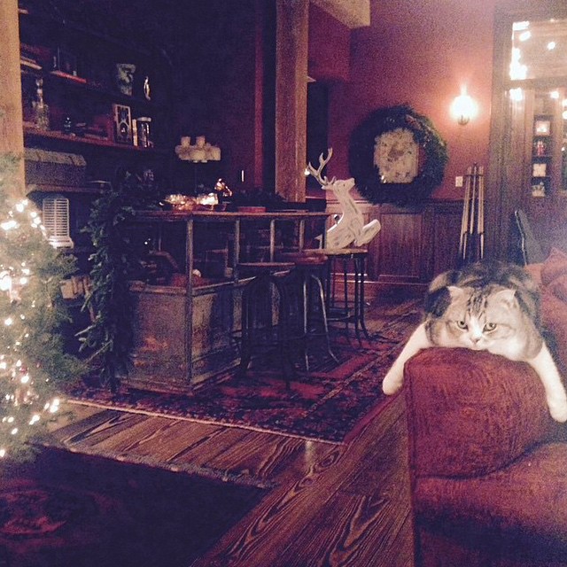 a cat laying on a couch in a living room