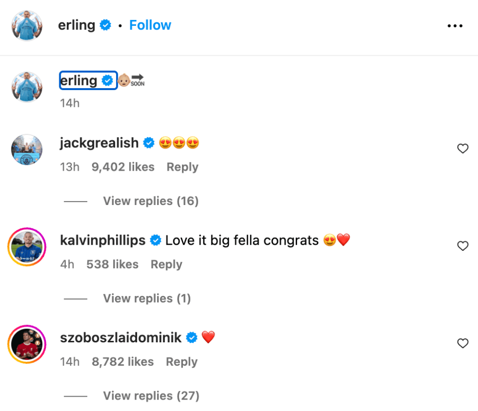 a screenshot of a social media post by erling