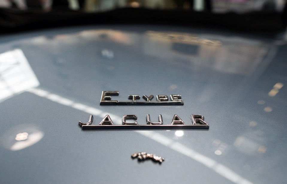 a close up of a jaguar emblem on a car