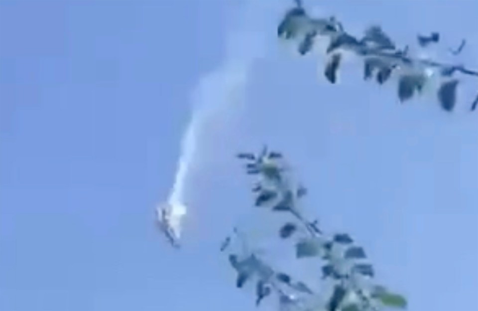 a plane is flying through a blue sky with a tree branch in the foreground