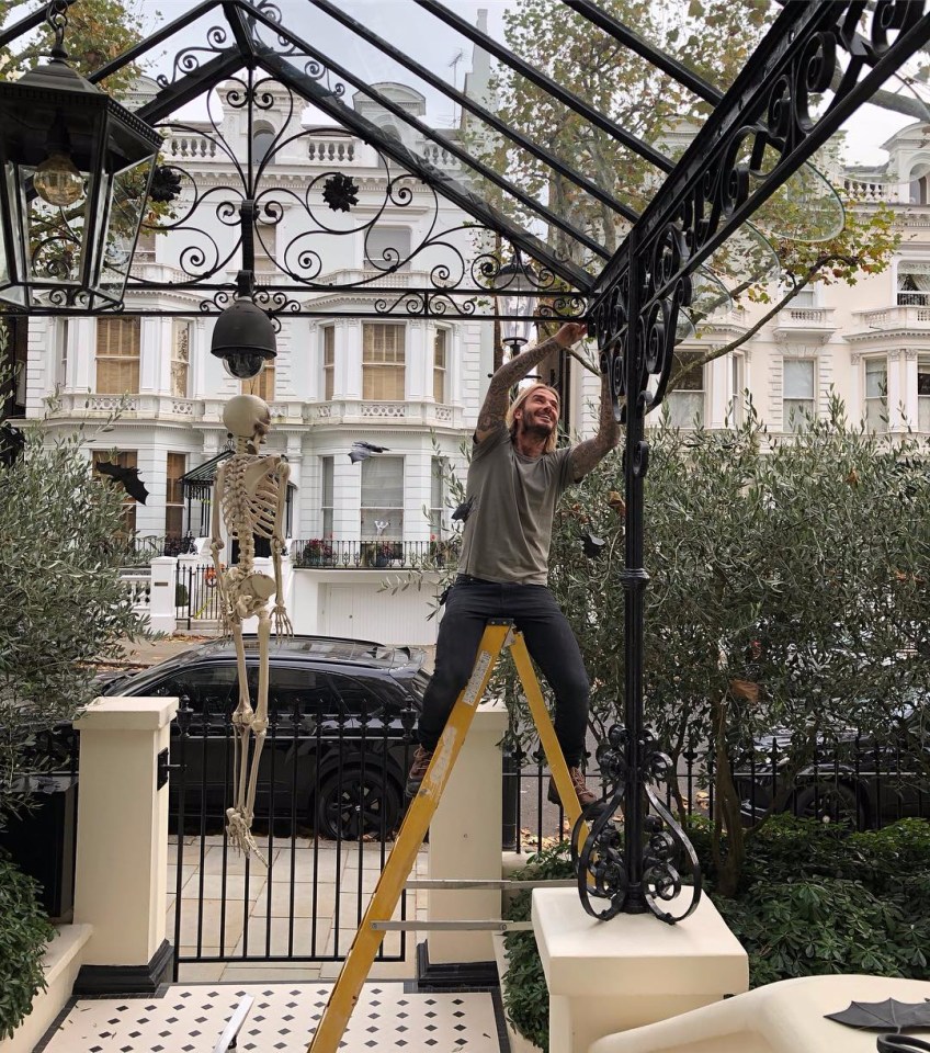 a man on a ladder with a skeleton in the background