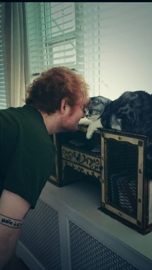 a man with a tattoo on his arm that says " possible a day " kisses a cat