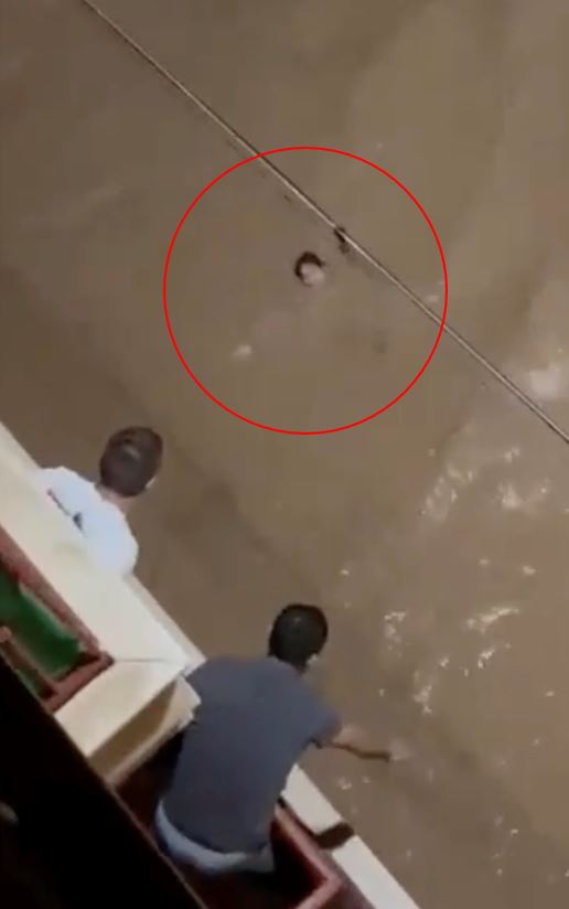 two men are sitting on a boat looking at a snake in the water .