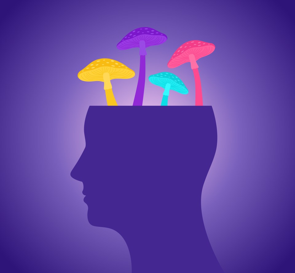 a silhouette of a head with mushrooms growing out of it