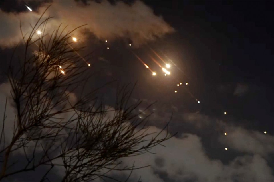 a tree is silhouetted against a night sky with fireworks