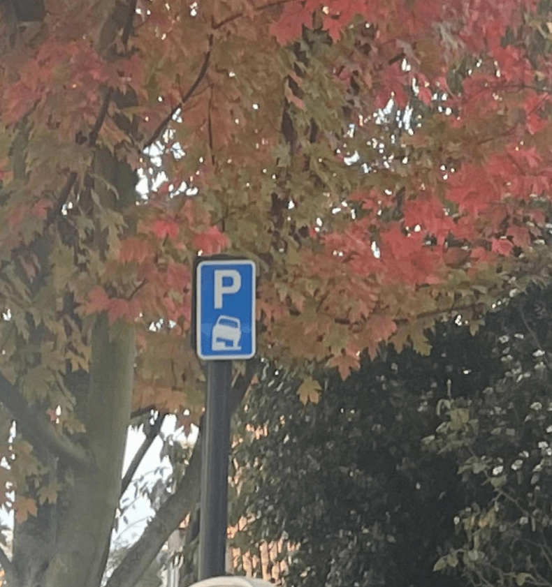 a blue and white parking sign with the letter p on it