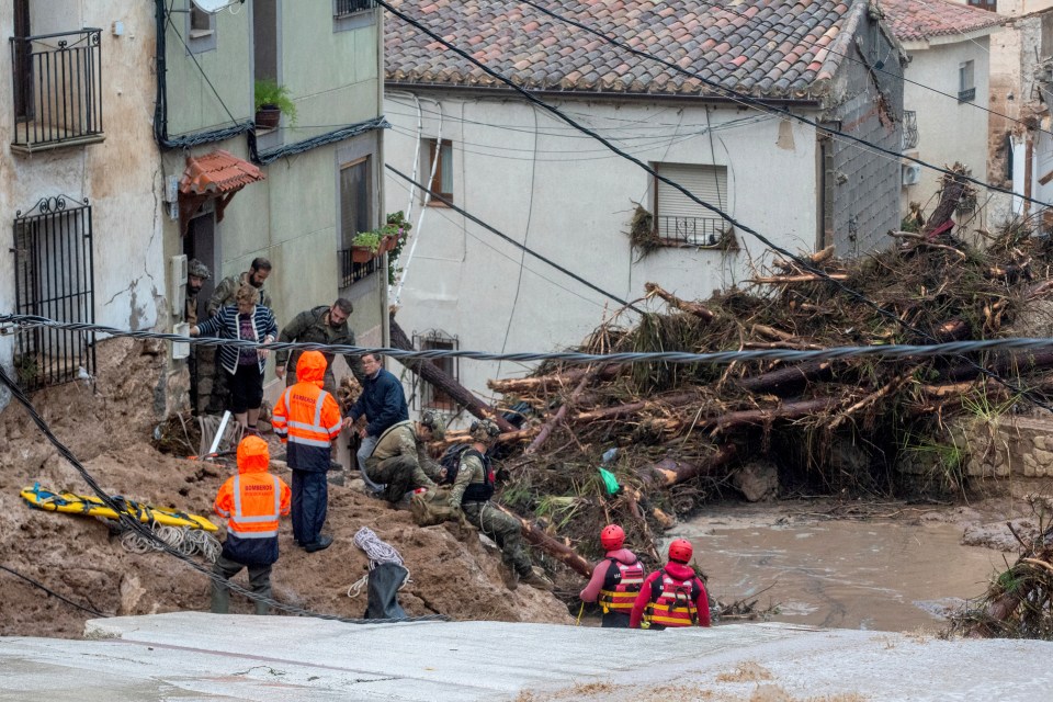 a group of people are standing in front of a pile of branches