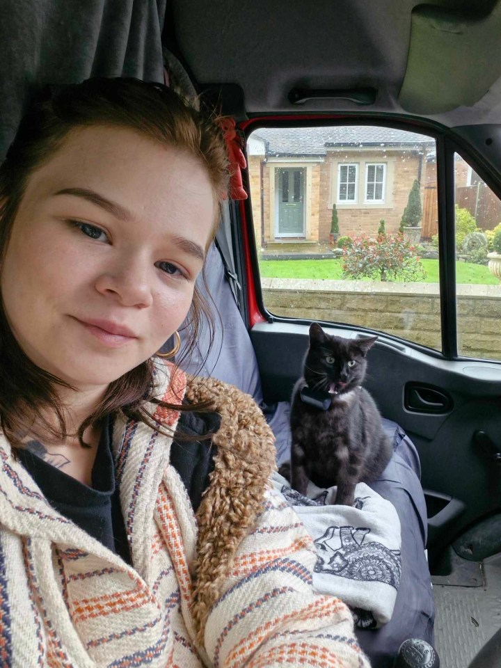a woman is sitting in a car with a cat and a teddy bear