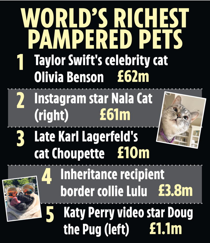 a list of the world 's richest pampered pets