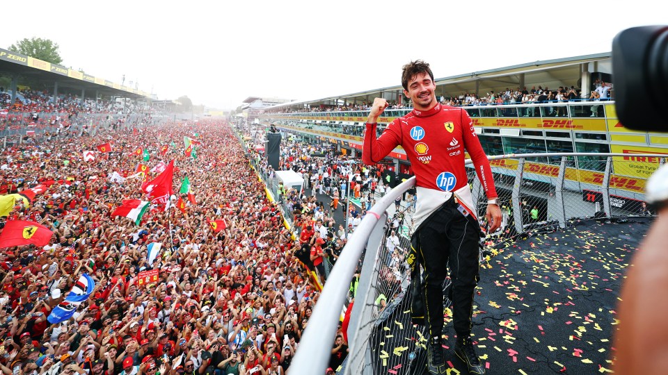 a man in a red hp shirt stands in front of a large crowd