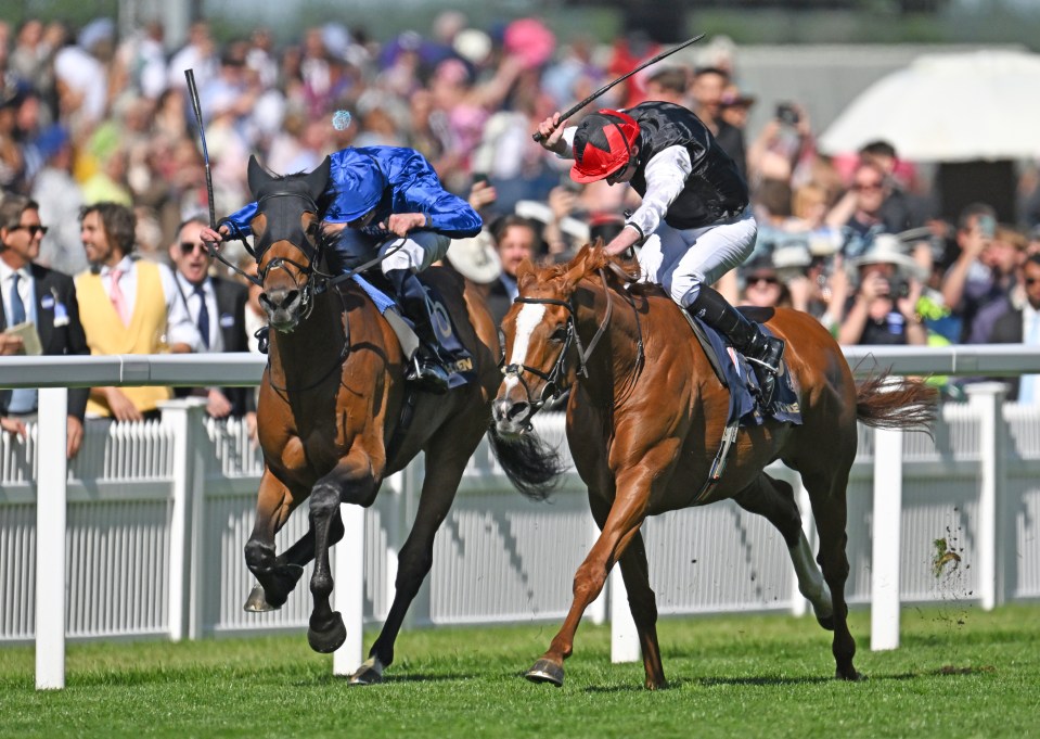 two horses are racing on a track and one is wearing a blue jacket with the number 1 on it