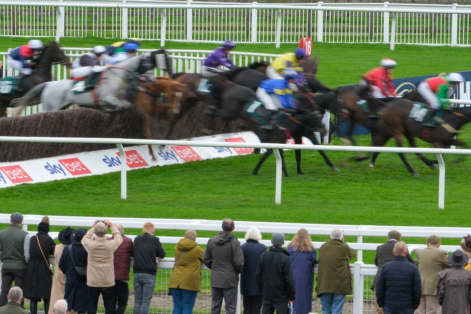 a group of people watching a race with a sign that says sky bet