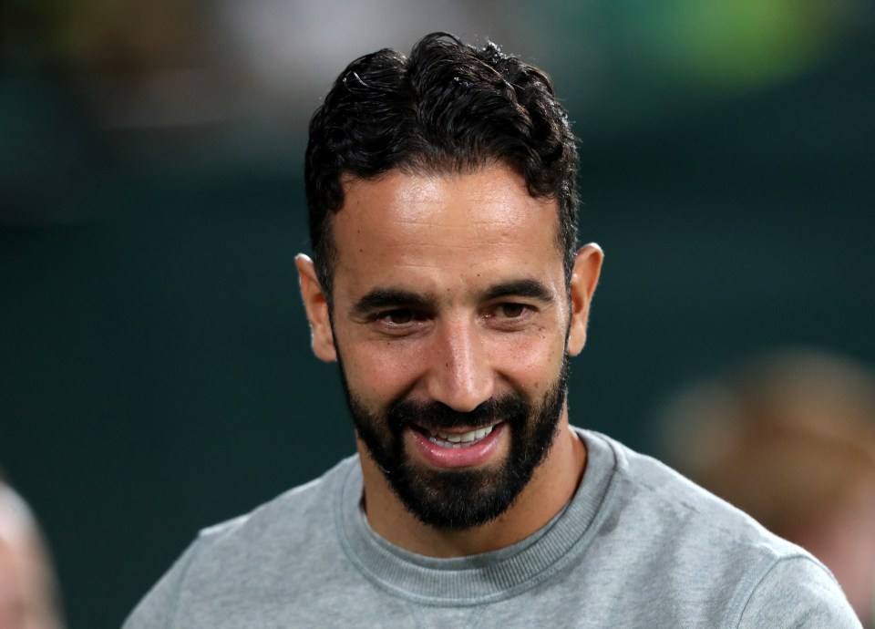 a man with a beard is smiling and wearing a grey shirt