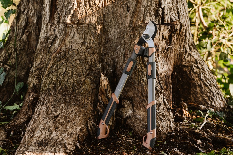 a pair of pruning shears with a s on the handle