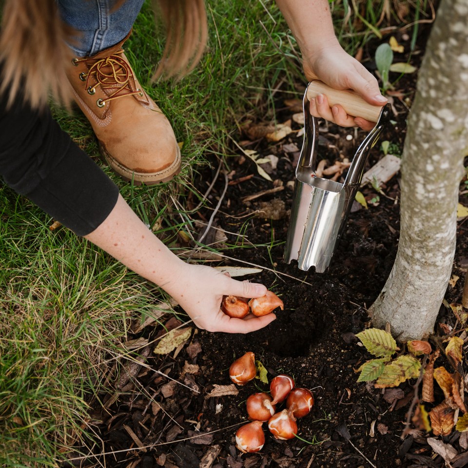 a person is planting bulbs in the ground with a tool that says ' stainless steel ' on it