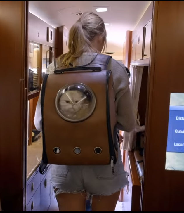 a woman is carrying a cat in a backpack