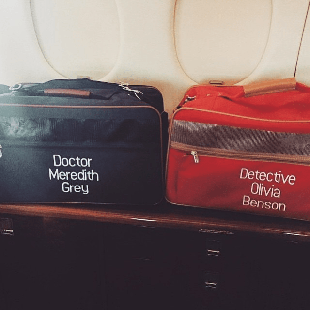a black bag that says doctor meredith grey is next to a red bag that says detective olivia benson